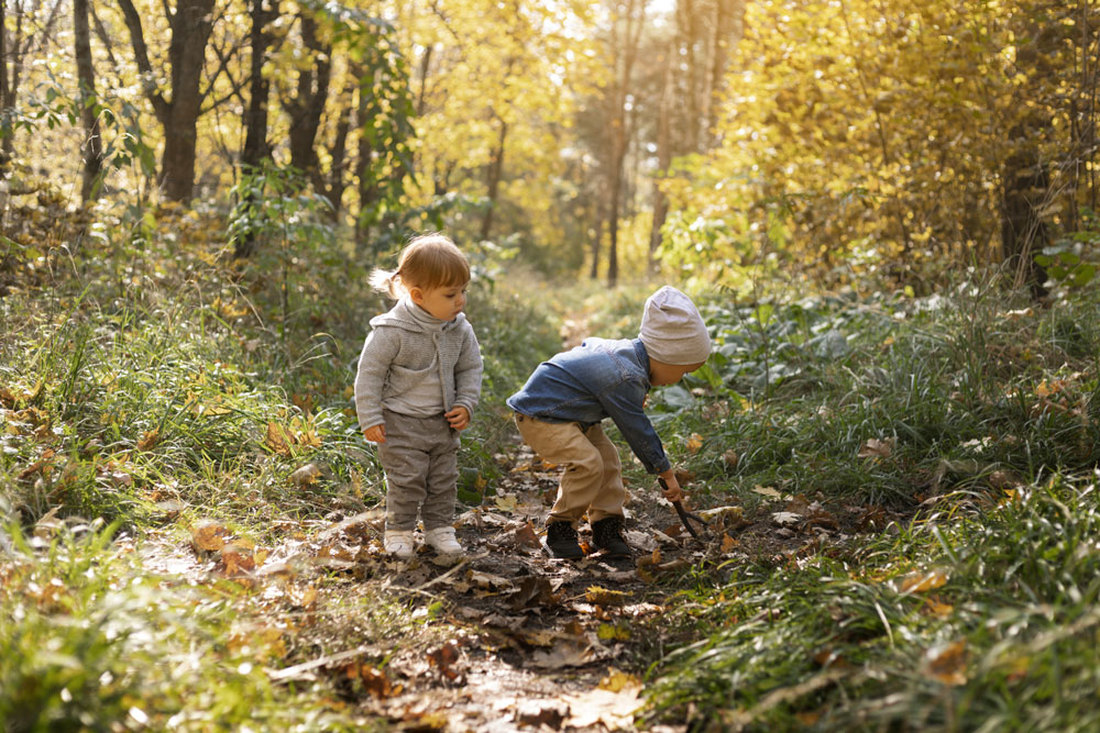 Kinder sammeln Blätter und spielen draußen im Wald