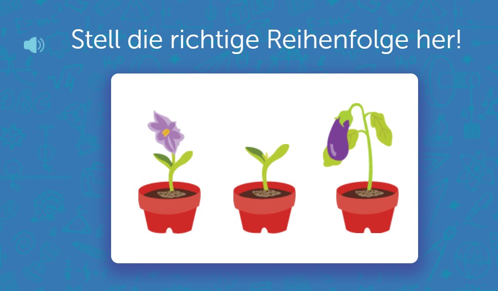 Pflanzen wachsen in Töpfen: Keimling – Pflanze – Blüte, in die richtige Reihenfolge bringen