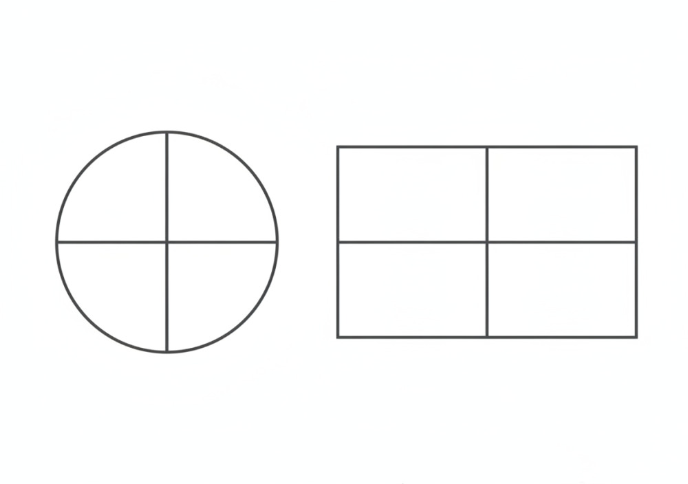 Kreis und Rechteck in Hälften und Viertel geteilt